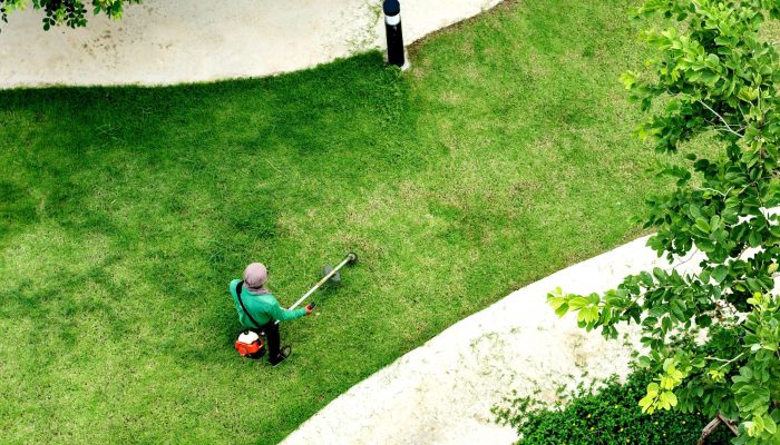 Manteniment de jardins